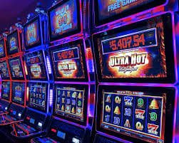 55c2 bet